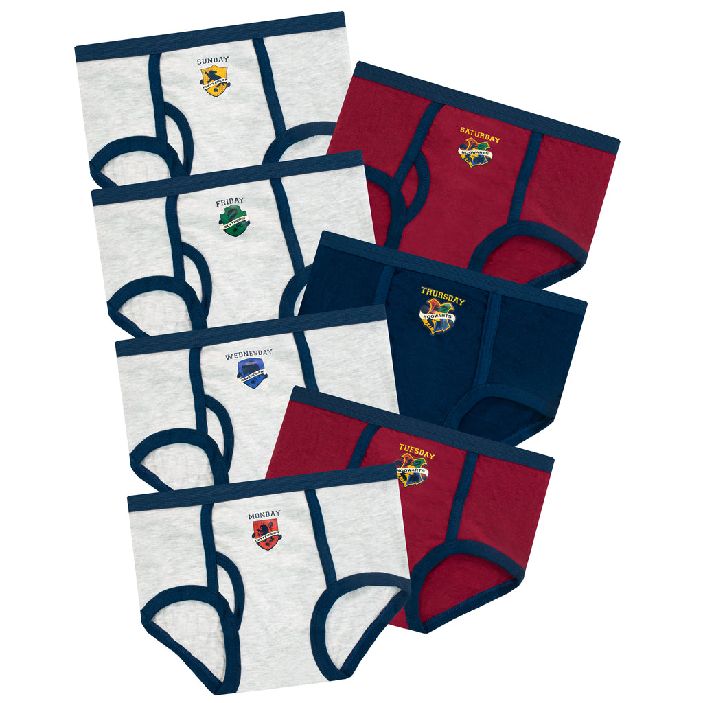 Harry Potter Girls Hogwarts Underwear Pack of 4